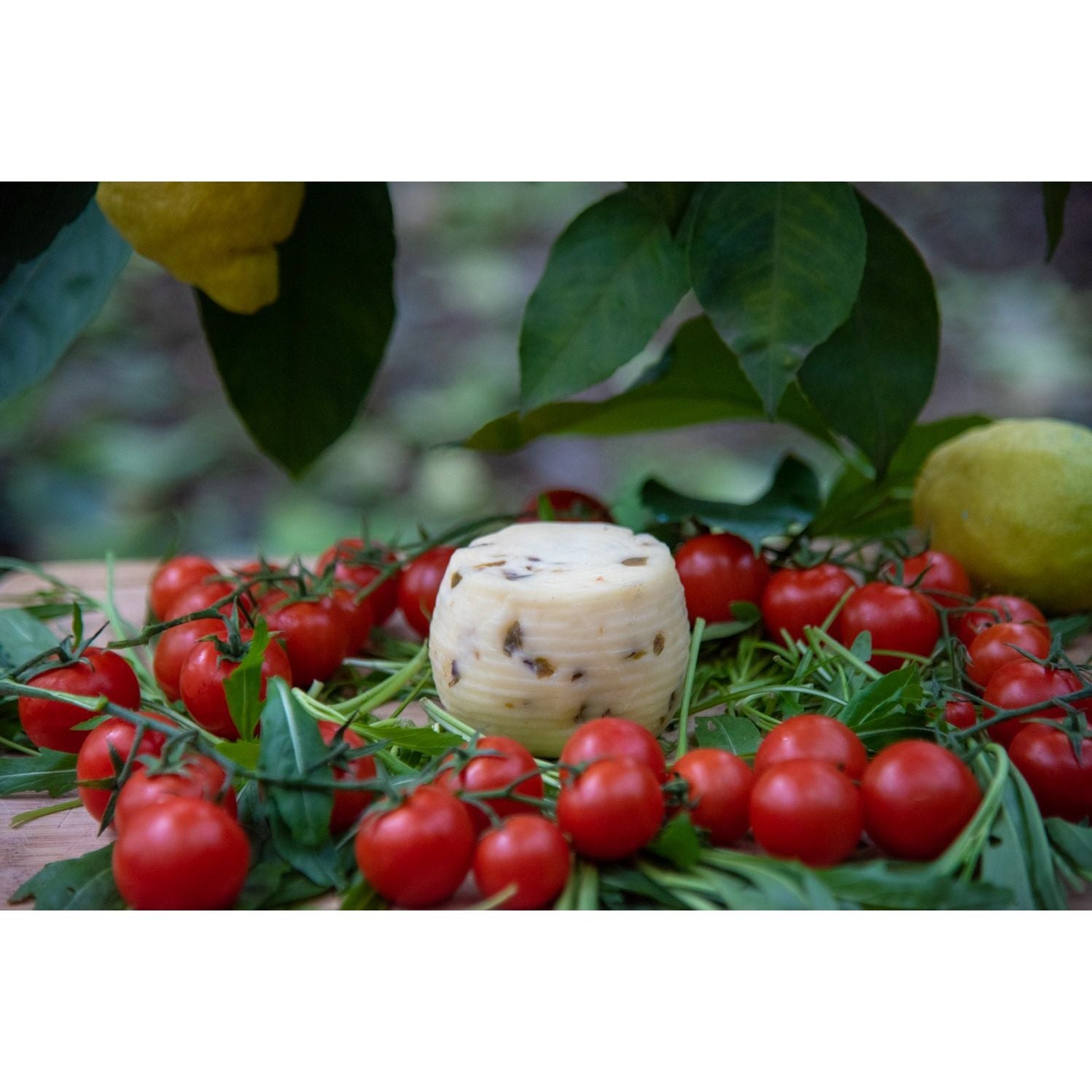 Caciotta alle olive Prodotto In Penisola Sorrentina Conf. da 1 Kg.