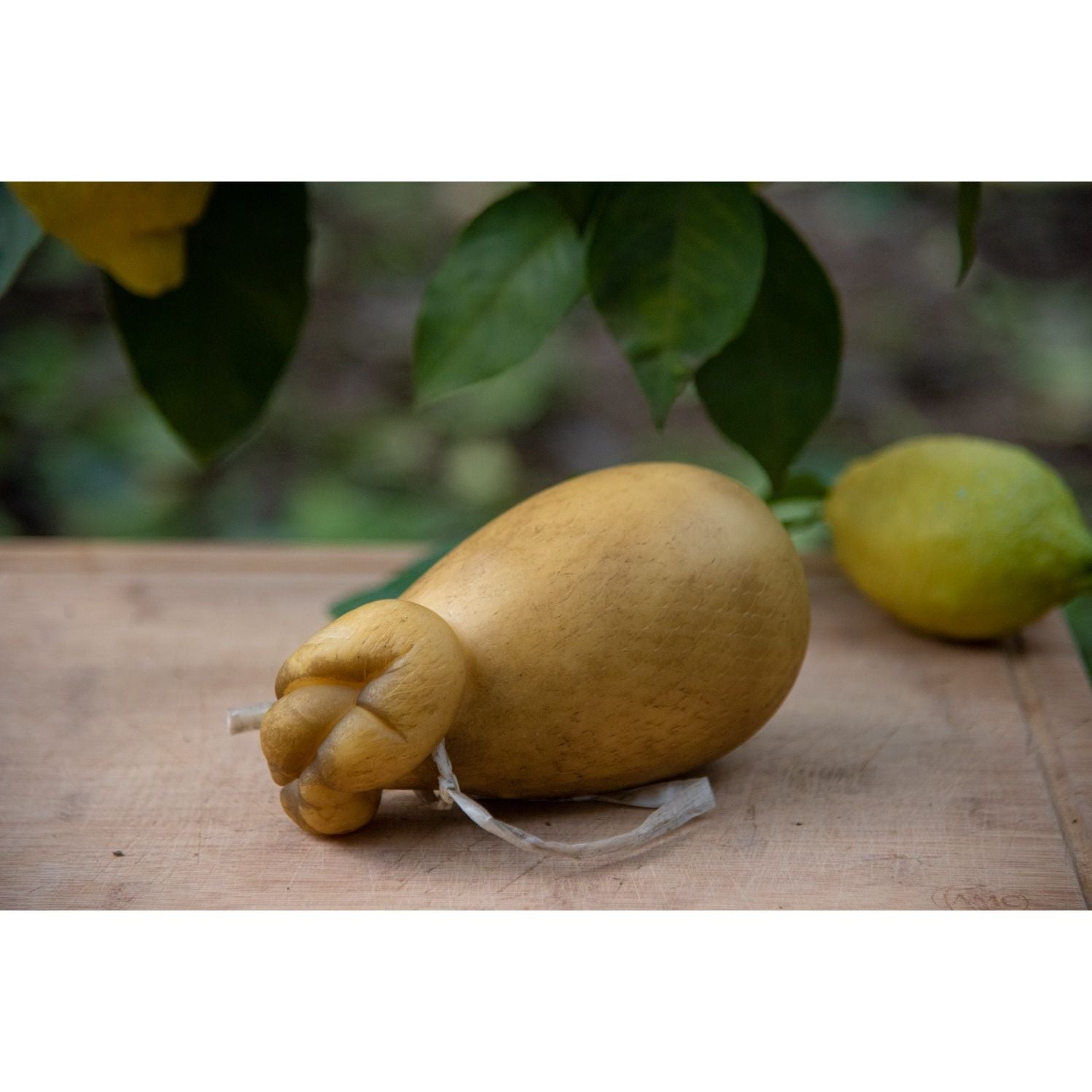 Caciocavallo Affumicato Prodotto In Penisola Sorrentina Conf. da 1 Kg.