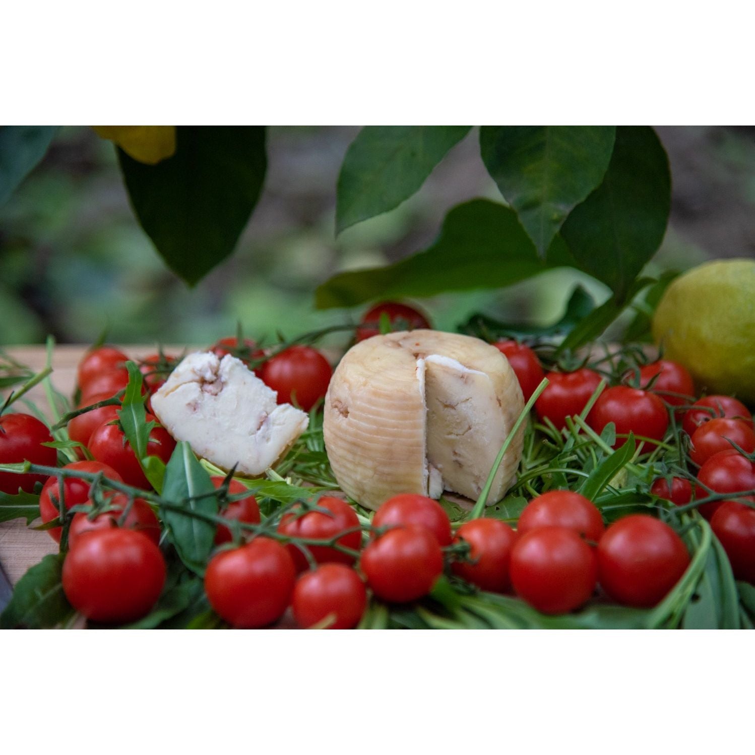 Caciotta Stagionata alle Noci Prodotto In Penisola Sorrentina Conf. da 1 Kg.