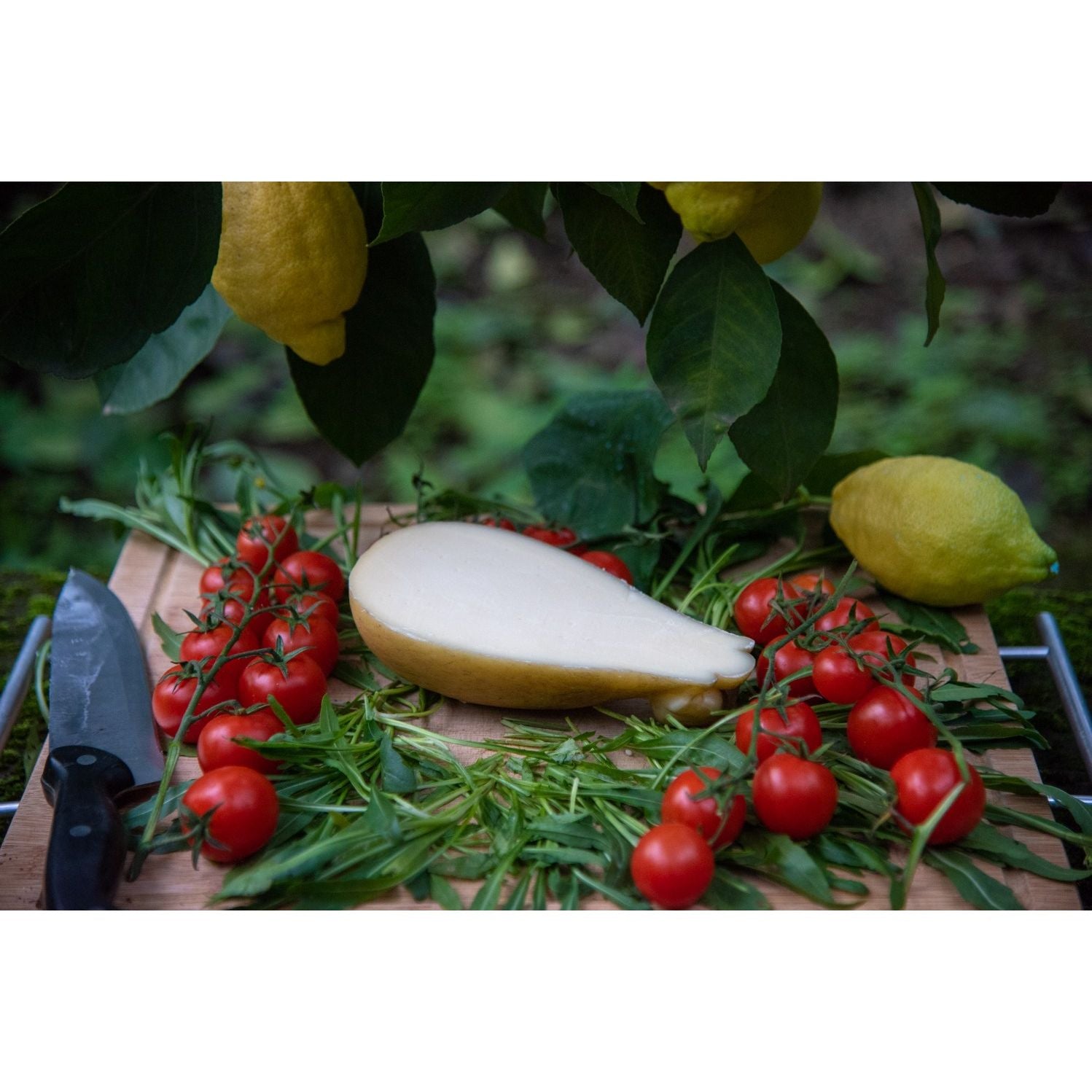 Caciocavallo Affumicato Prodotto In Penisola Sorrentina Conf. da 500 g.