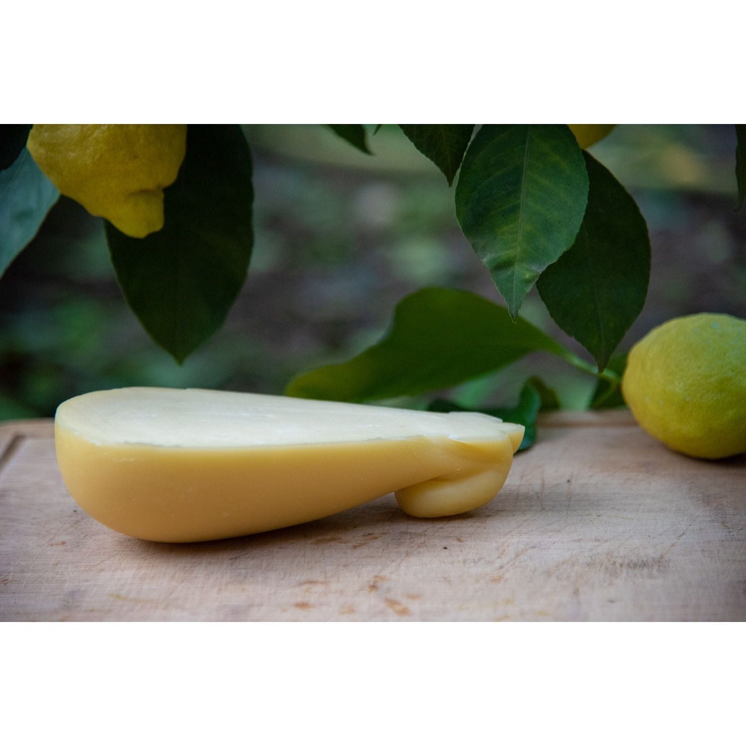 Caciocavallo Bianco Prodotto In Penisola Sorrentina Conf. da 500 g.