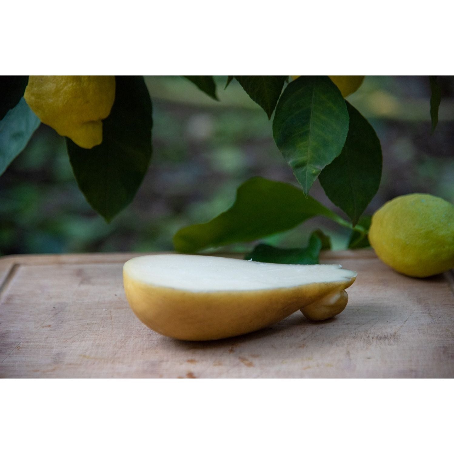 Caciocavallo Bianco Prodotto In Penisola Sorrentina Conf. da 500 g.