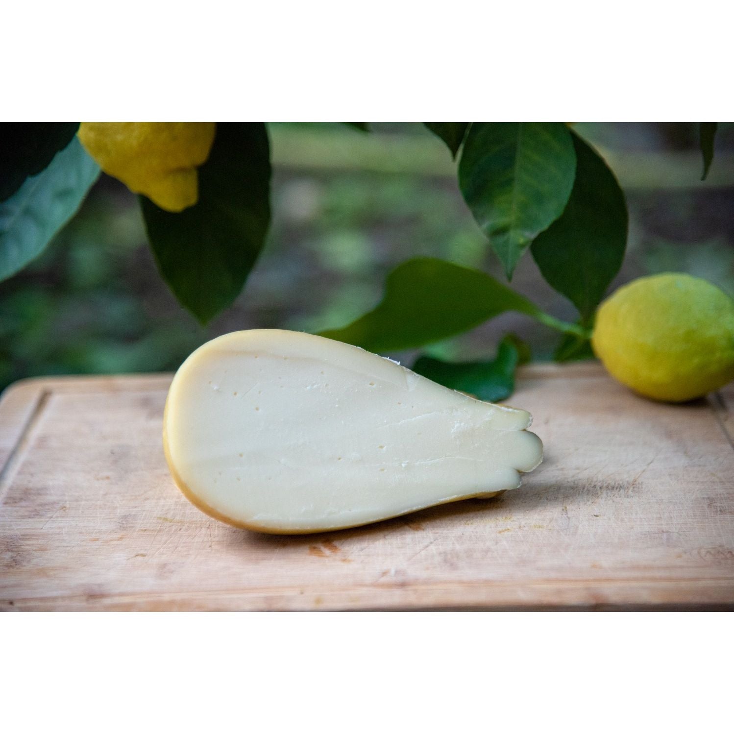 Caciocavallo Bianco Prodotto In Penisola Sorrentina Conf. da 500 g.