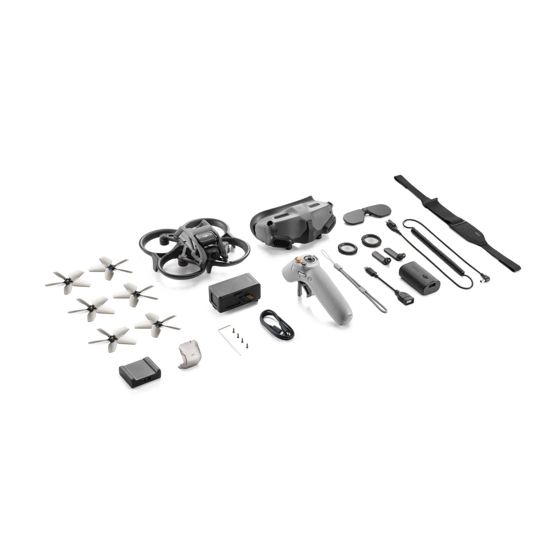 DJI Avata Pro-View Combo (DJI RC Motion 2) GARANZIA ITALIA NITAL 2 ANNI