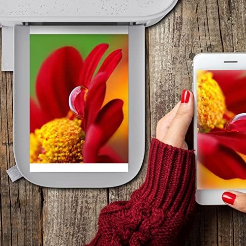 HP CARTA 10X15CM 108 PACK (Confezione da 10) SPEDIZIONE GRATUITA