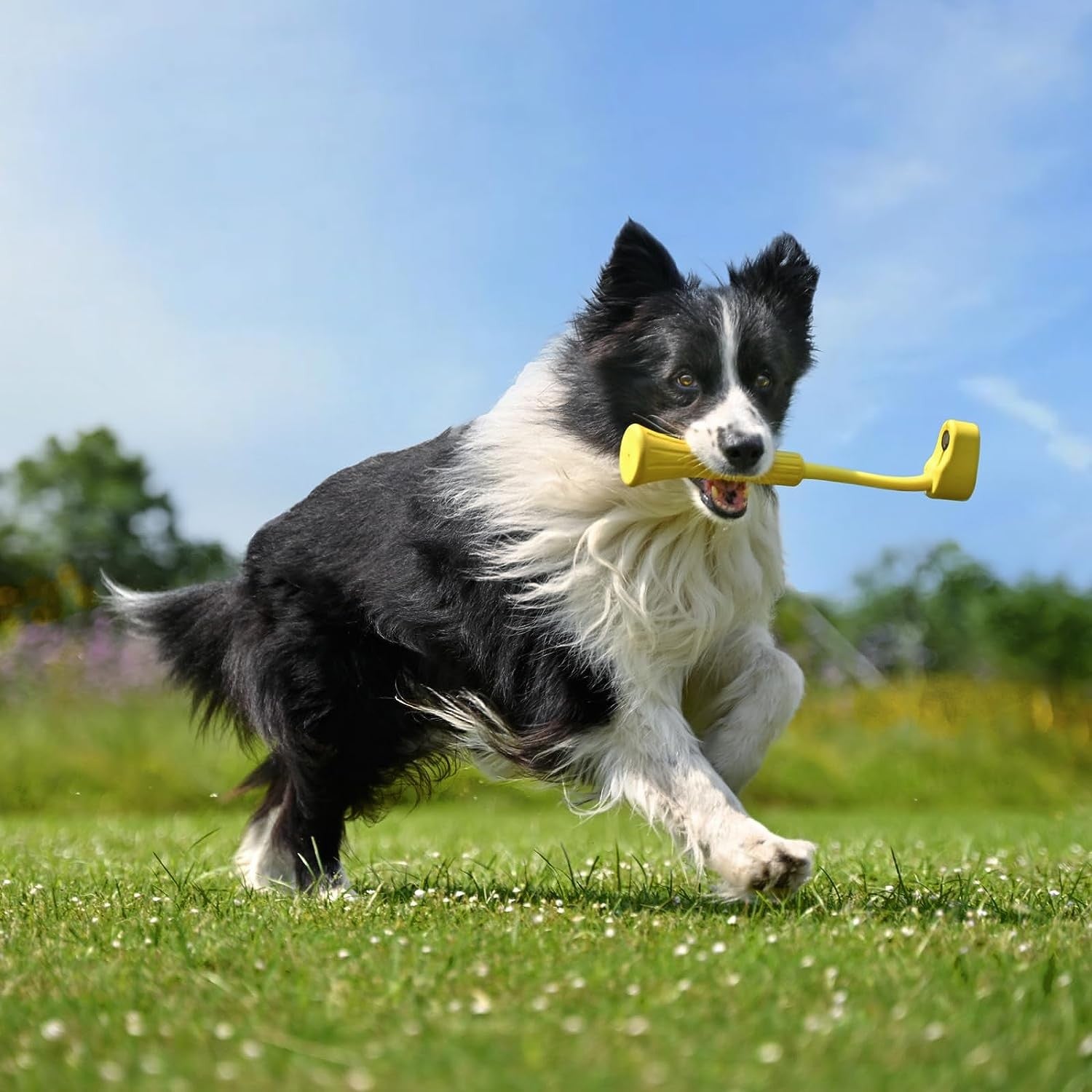 Insta360 GO 3 FETCH STICK