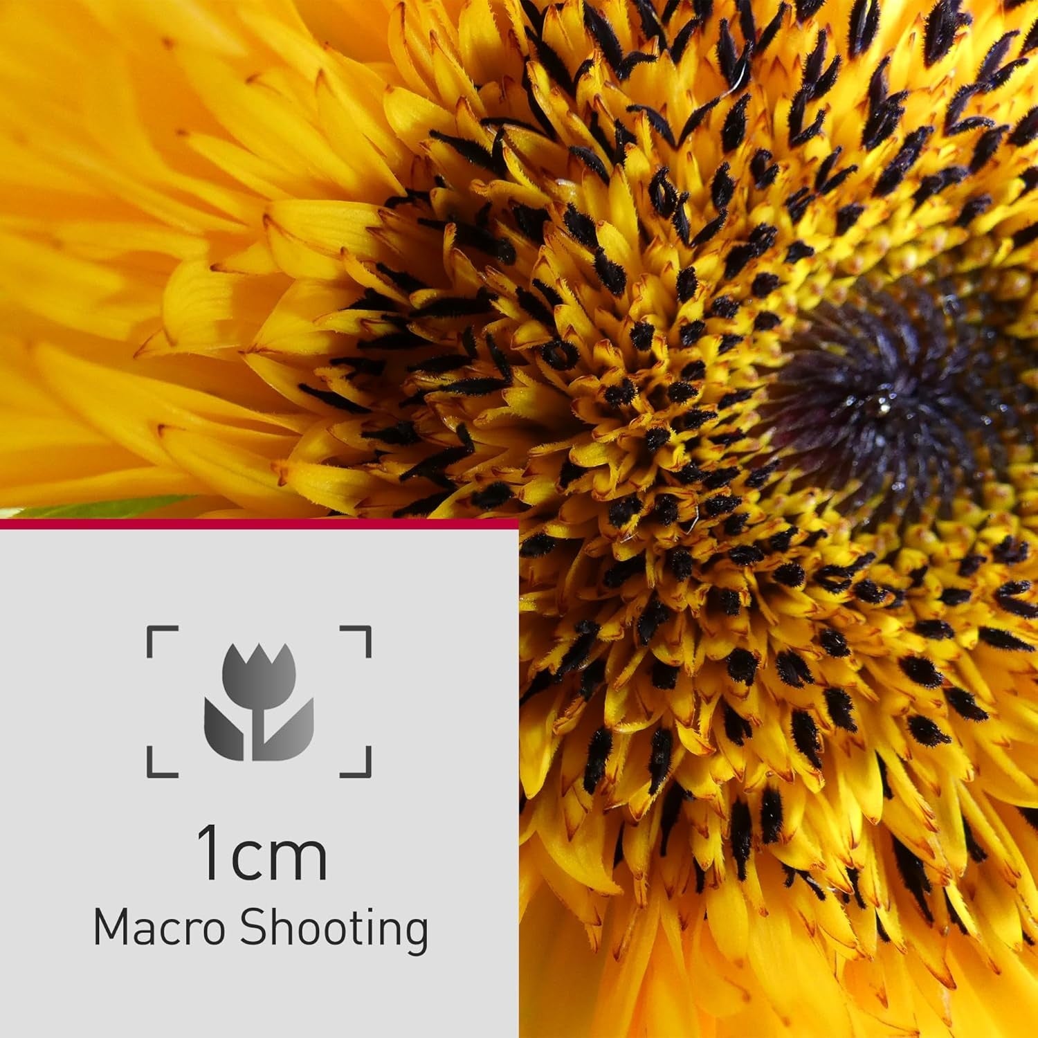 Panasonic Lumix FZ82D GARANZIA FOWA ITALIA 4 ANNI