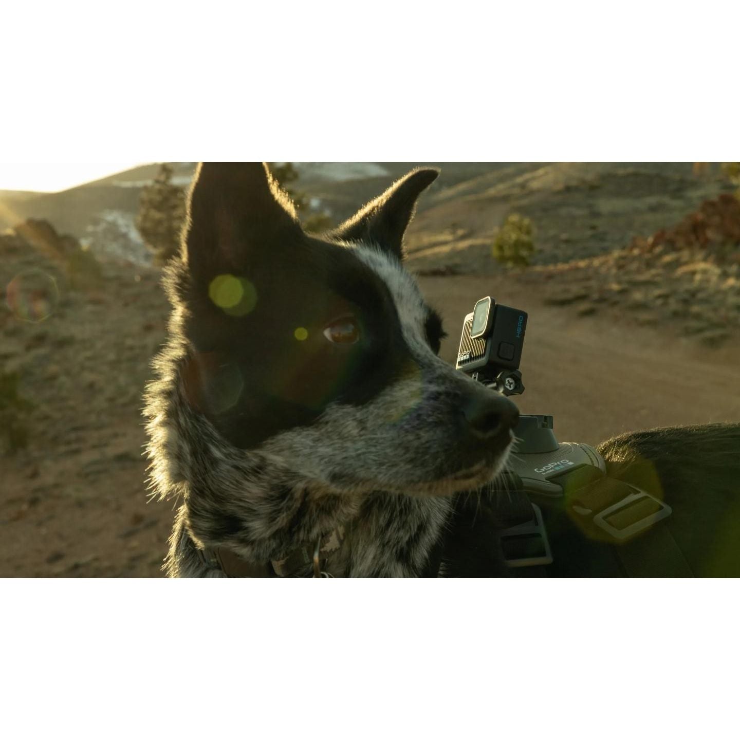 GoPro HERO - GARANZIA UFFICIALE 2 ANNI ITALIA