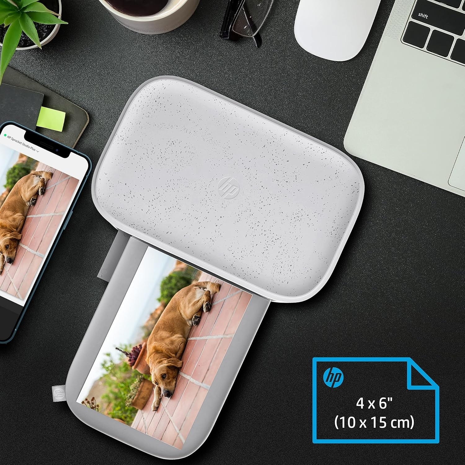 HP SPROCKET STUDIO PLUS STAMPANTE 10X15CM GARANZIA UFFICIALE POLYPHOTO