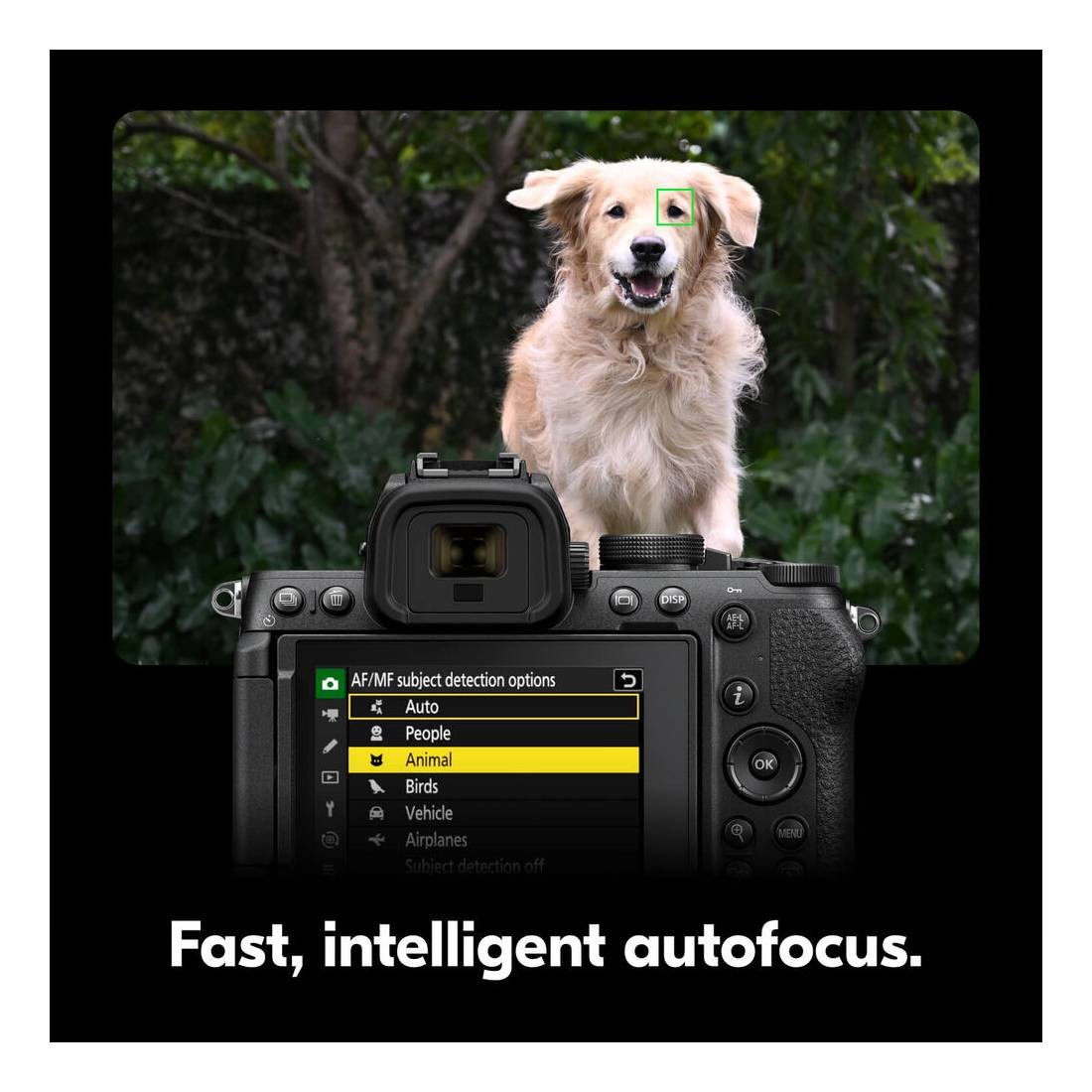 Nikon Z5 II  + 24-70mm f/4 S + SD 128GB LEXAR in OMAGGIO GARANZIA NITAL 4 ANNI