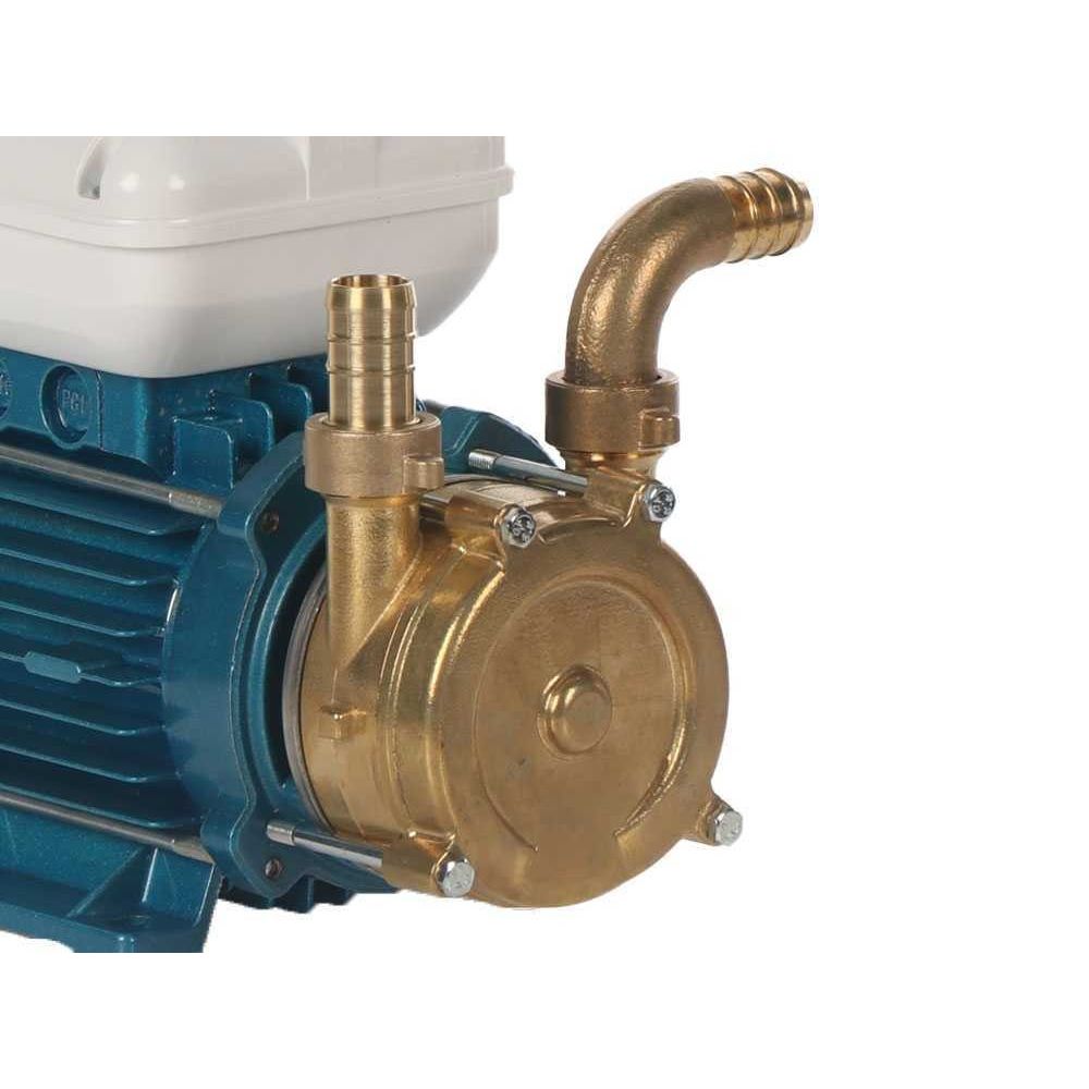 Tellarini EEM 20 Pompa da travaso in ottone 230V
