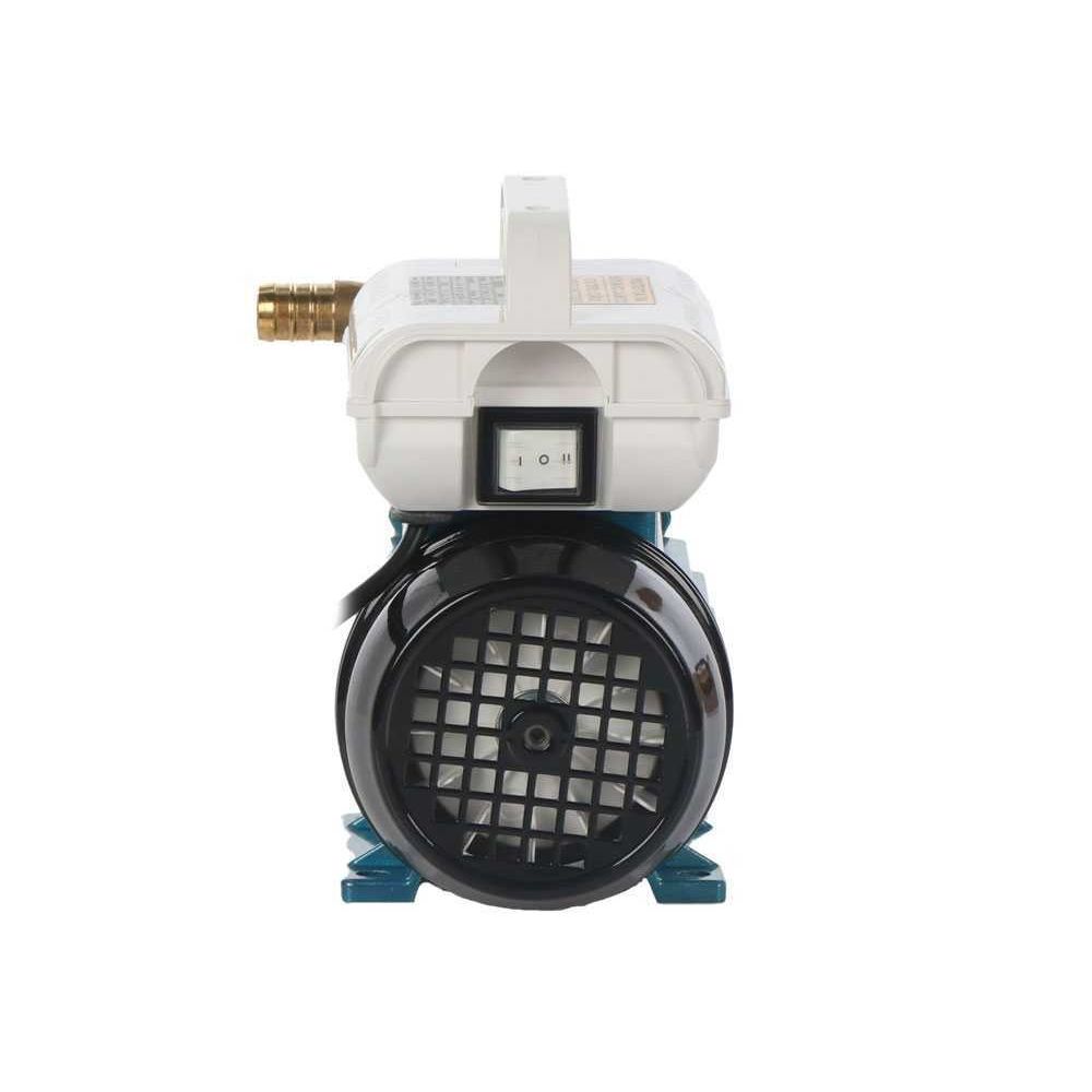 Tellarini EEM 20 Pompa da travaso in ottone 230V