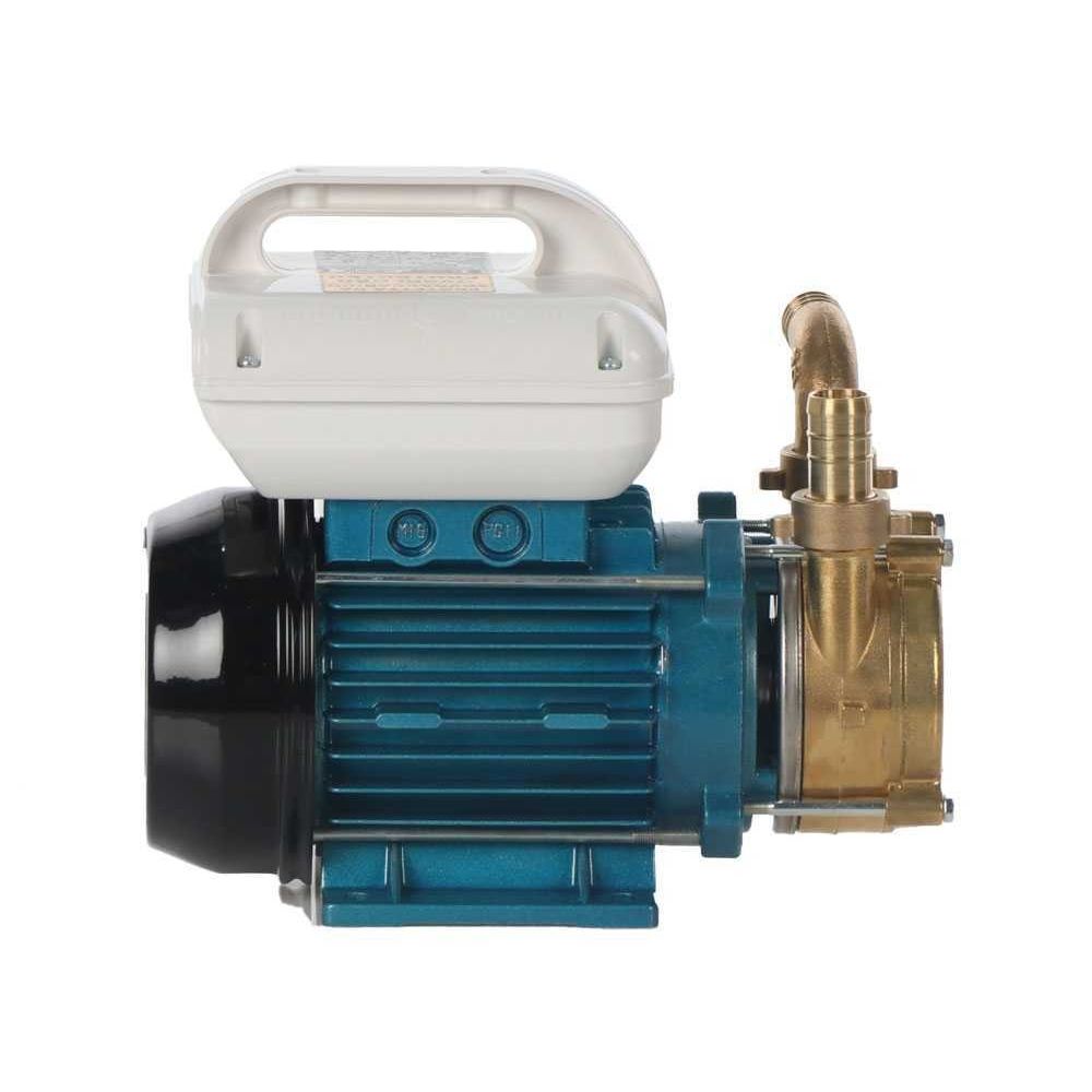 Tellarini EEM 20 Pompa da travaso in ottone 230V