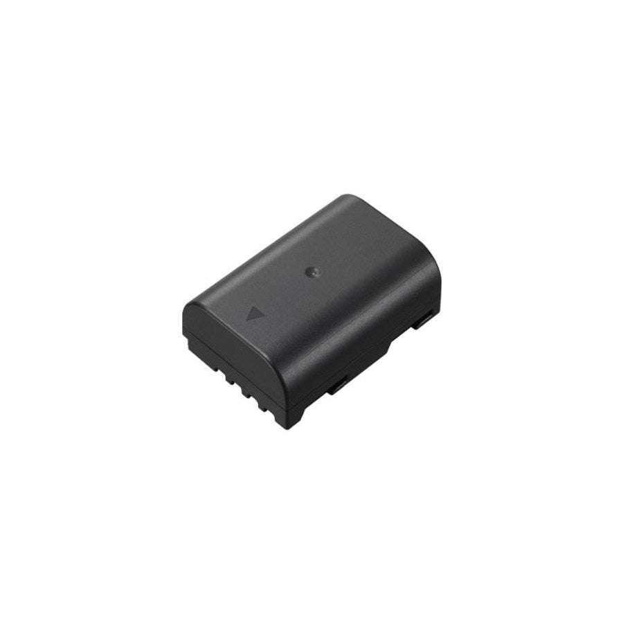 Panasonic Batteria DMW-BLF19 GARANZIA FOWA ITALIA 2 ANNI