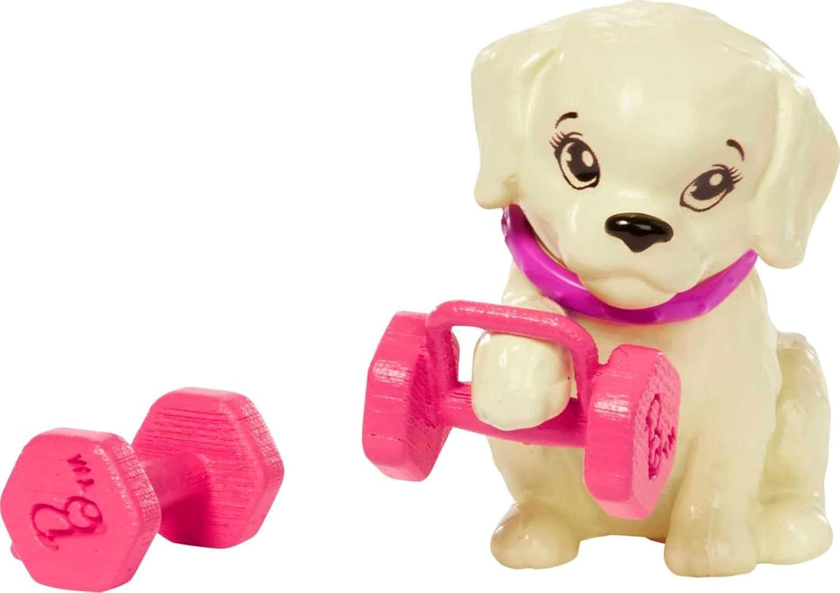 Barbie  Doll and Accessories - Healty