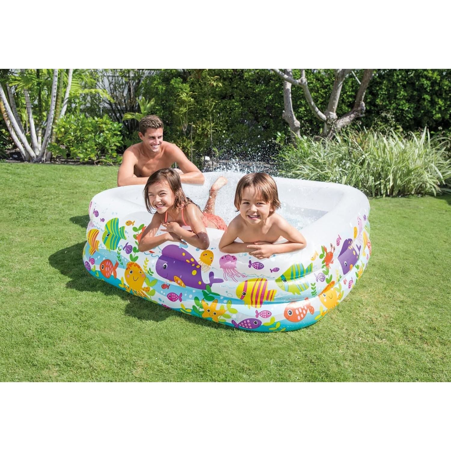 Intex 57471NP Piscina Acquario, Colori Assortiti 159cm x 159cm x 50cm