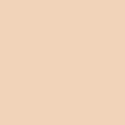FONDALE IN CARTA 2,72x11m Colore PONGEE
