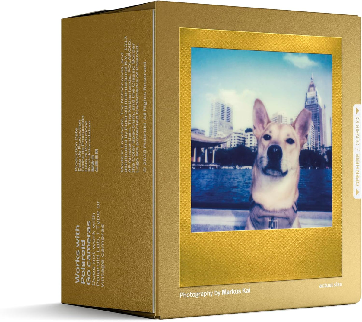 Polaroid COLOR FILM GO GOLD FRAME - SCONTO QUANTITA'